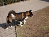 2011_03_27 283.jpg